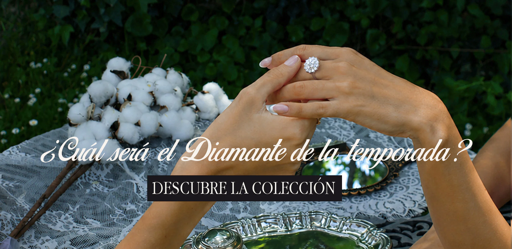 Elegancia Eterna en Cada Detalle