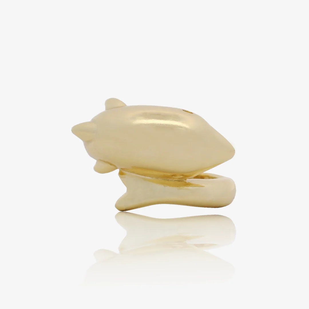 Anillo Delfín - Image 3
