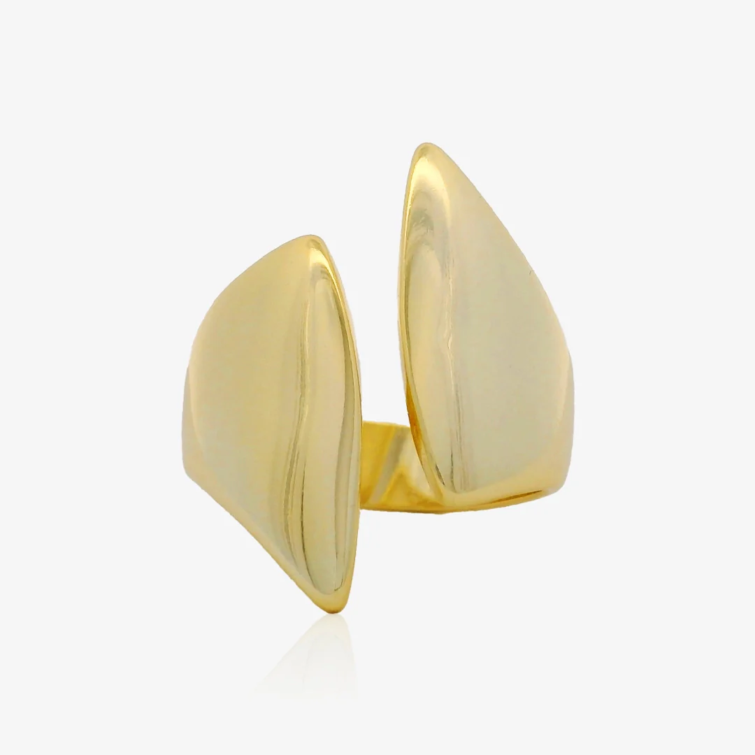Anillo Escudo