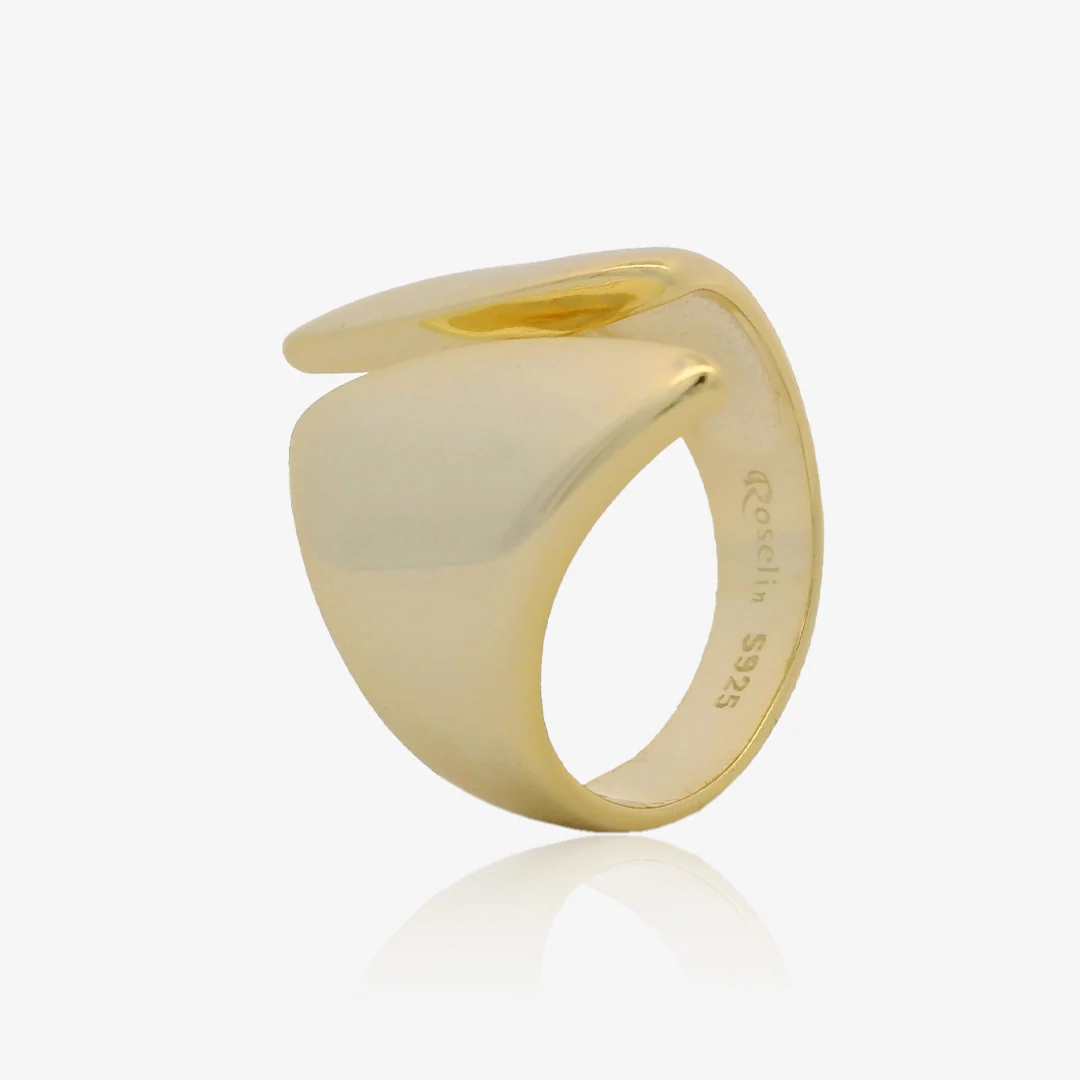 Anillo Escudo - Image 6