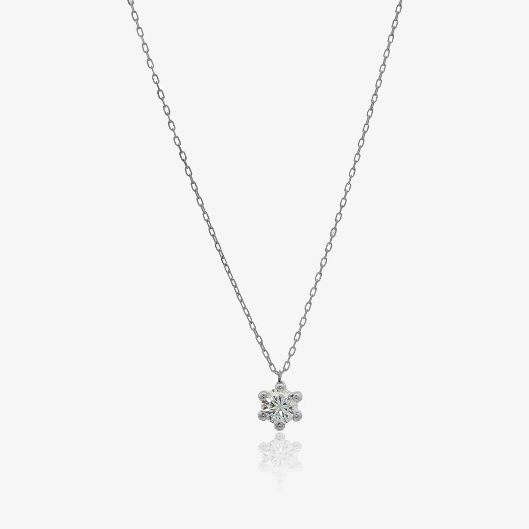Collar 6 Garras