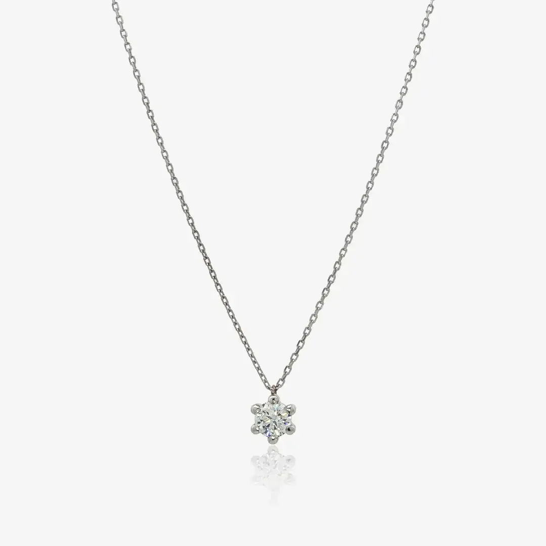 Collar 6 Garras - Image 6
