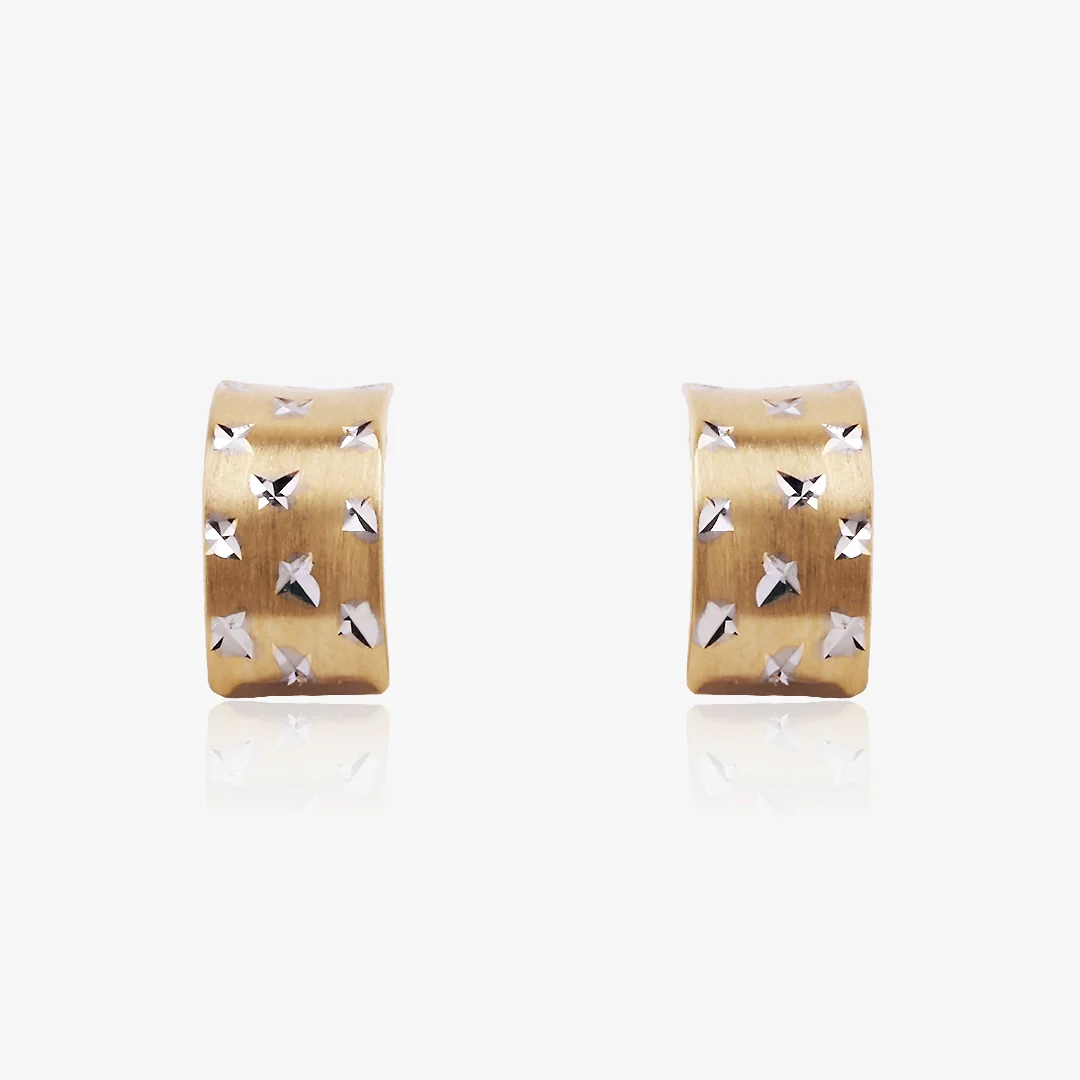Pendientes Omega Bicolor