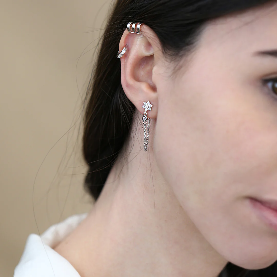 Aros circonitas - Image 2