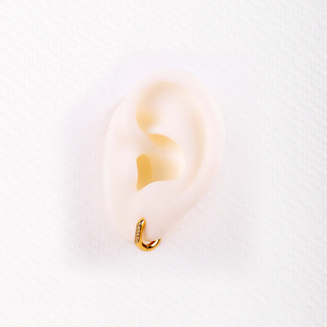 Aros Circonitas - Image 4