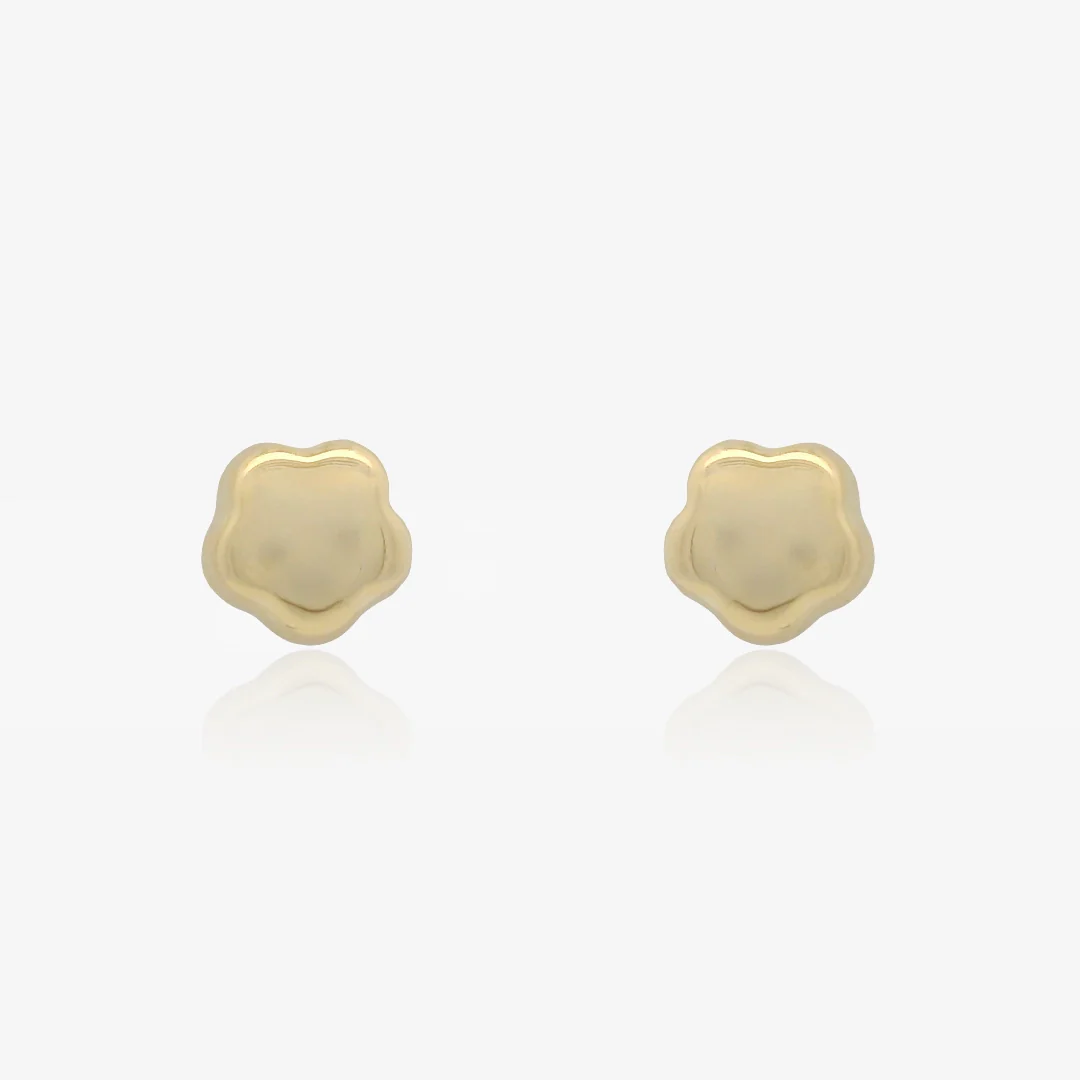 Pendientes Flor Brillo